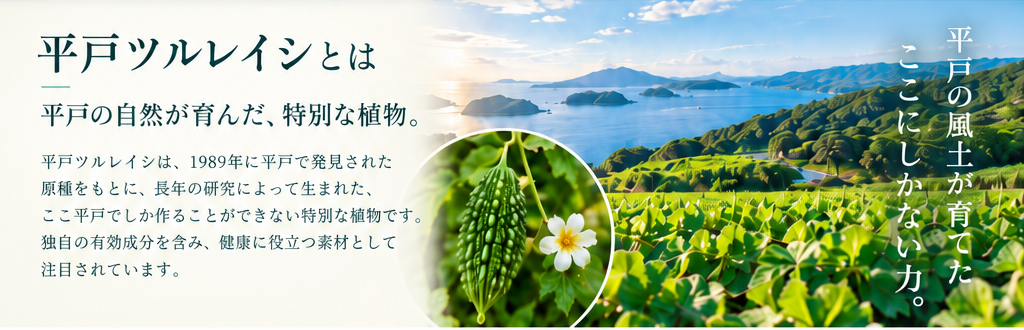 平戸ツルレイシとは。平戸の自然が育んだ植物と海の風景