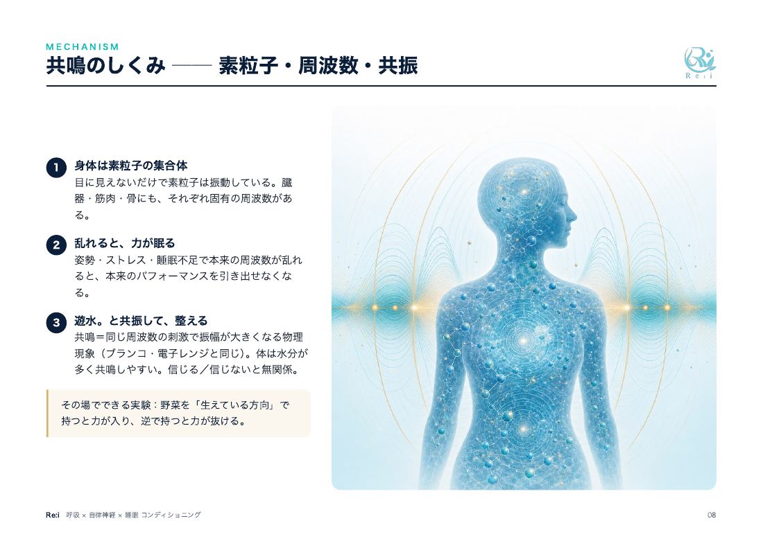 営業資料 8ページ：共鳴に関する本部説明